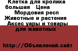 Клетка для кролика  большая › Цена ­ 1 300 - Мордовия респ. Животные и растения » Аксесcуары и товары для животных   